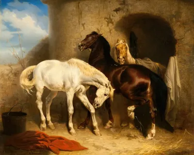 Horses At The Stable