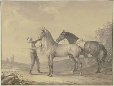 Horses From Tunis