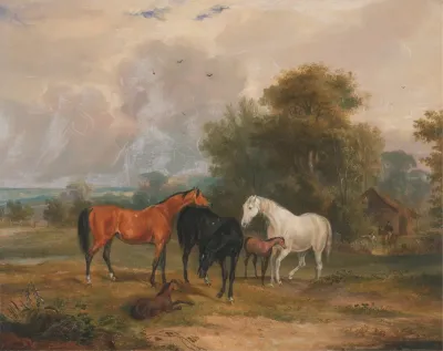 Horses Grazing Mares And Foals In A Field