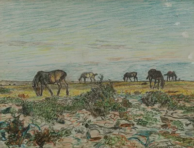 Horses Grazing
