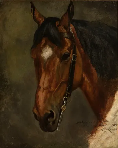 Horses Head 2