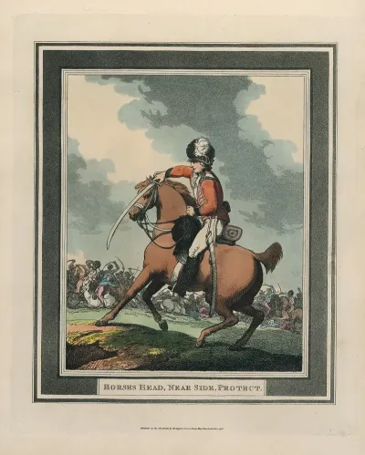 Horses Head Near Side Protect