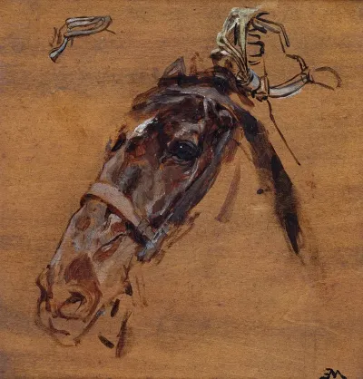 Horses Head Study