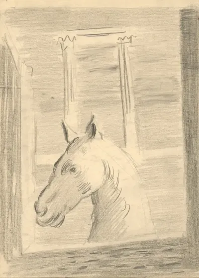 Horses Head