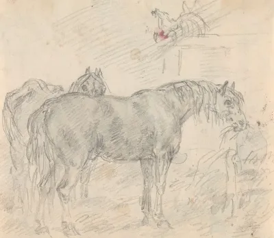Horses In A Barn With Chickens And A Rooster