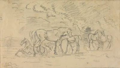 Horses In A Meadow 3