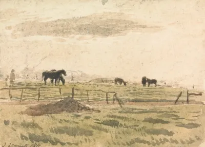 Horses In A Paddock