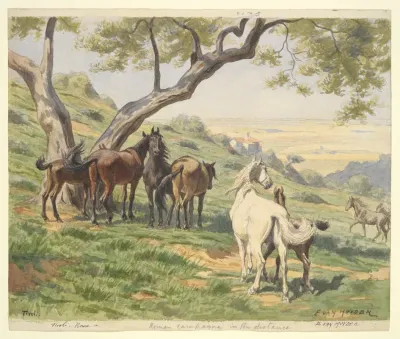 Horses In Field Tivoli
