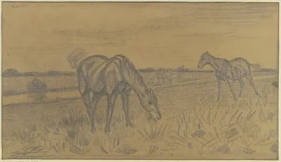 Horses On The Field