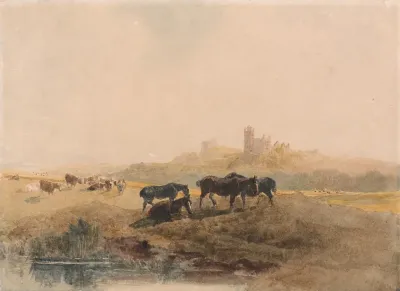 Horses Resting In A Meadow Near Bolsover Castle 2