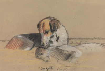 Hounds Seagull