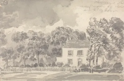 House Among Trees 2