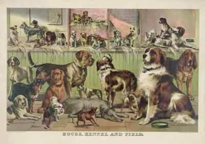 House Kennel And Field