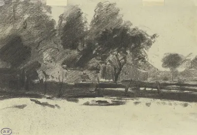 House Underneath Trees