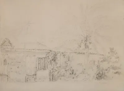 Houses And Palm Trees
