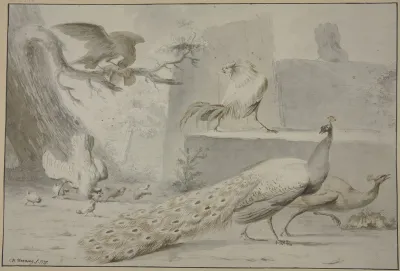 Huhnerhof Von Einem Adler Uberfalle