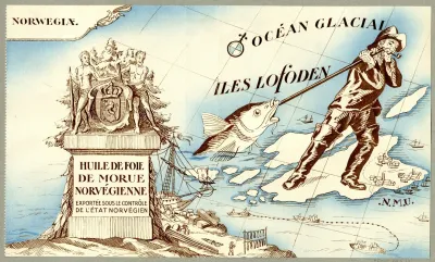 Huile De Foie De Morue Norvegienne