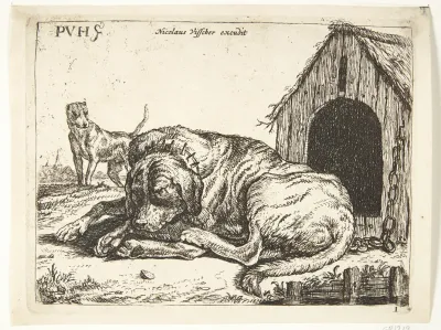Hund I Laenke 2