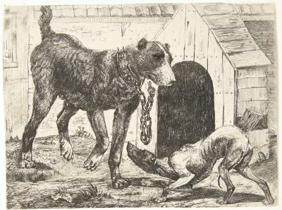 Hund I Laenke