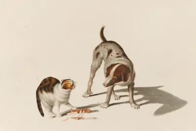 Hund Und Katze Mit Knochen