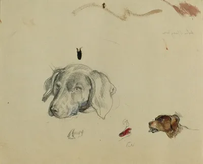 Hundestudie 2
