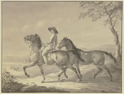 Hungarian Horses