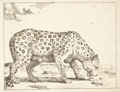 Hunleopard