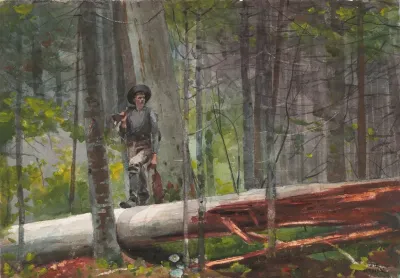 Hunter In The Adirondacks