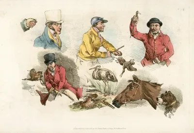 Hunters Animals Birds