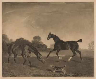 Hunters At Grass The Property Of John Micklethwait Esq