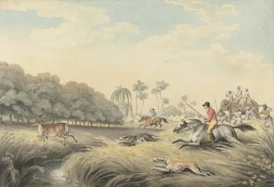 Hunting A Hog Deer