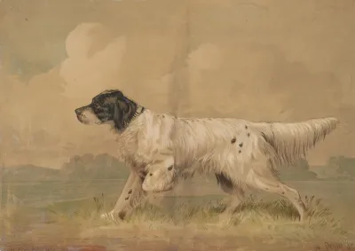 Hunting Dog