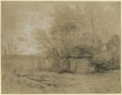 Hut In The Swamp