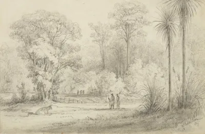 Hutt Road From The Windows Of Hawkeshead