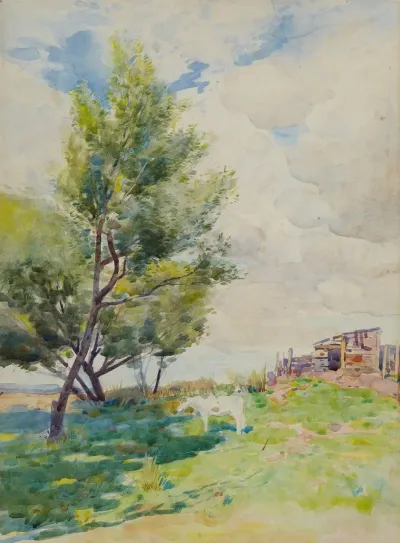 Hutt Valley Landscape