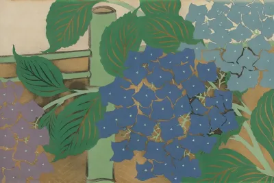 Hydrangea Ajisai