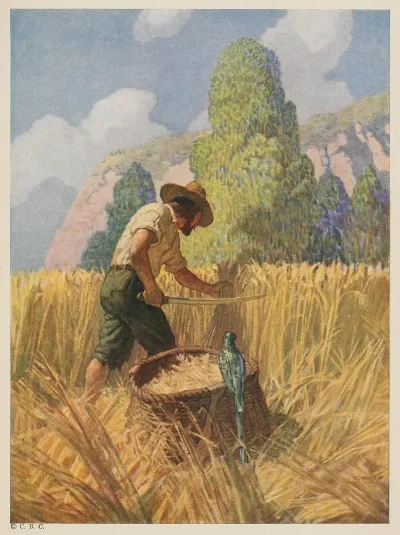 I Reaped It My Way For I Cut Nothing Off But The Ears And Carried It Away In A Great Basket Which I Had Made