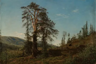 I Vingerasheia Telemark