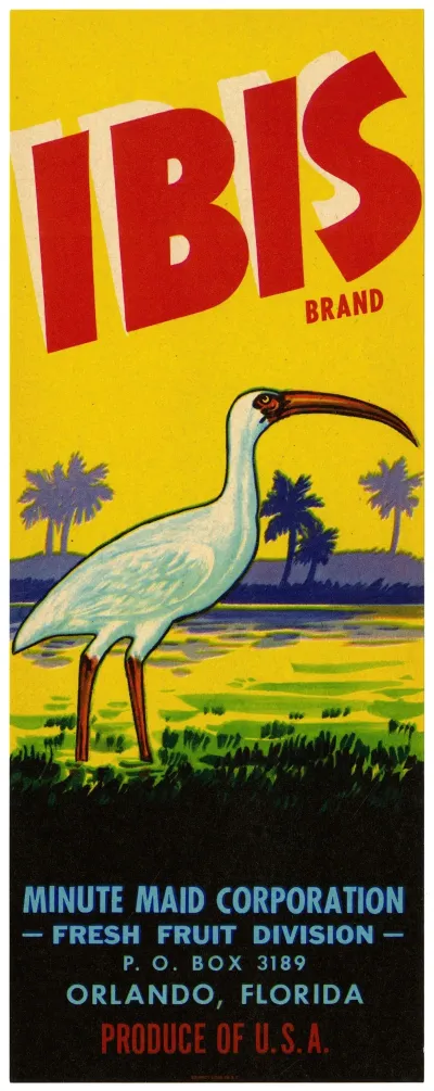 Ibis Brand Fruit Label 2