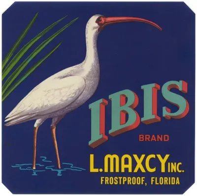 Ibis Brand Fruit Label