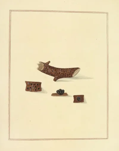 Icons Fungorum Circa Halifax Sponte Nascentium Pl 187