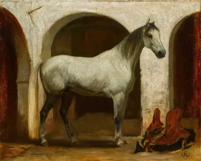Idjeri