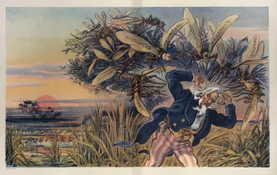 If You Want To Get Rid Of Mosquitos Drain The Swamp That Breeds Them
