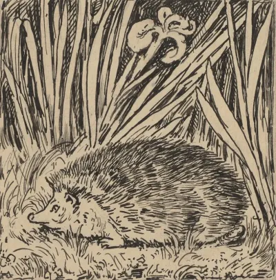 Igel
