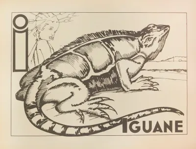 Iguane