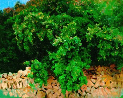 Ilex Wood Majorca