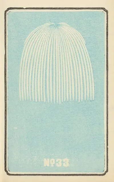 Illustrated Catalogue Of Daylight Bomb Shells No 33