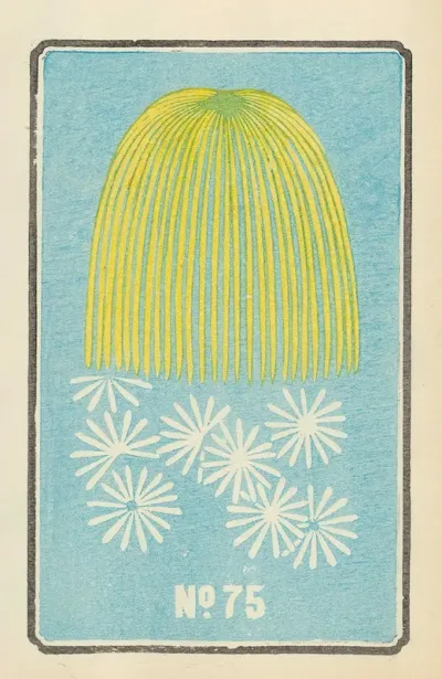 Illustrated Catalogue Of Daylight Bomb Shells No 75