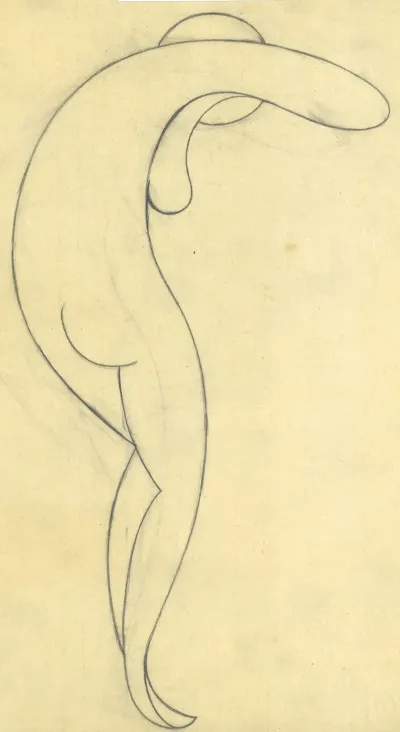 Illustratie 7