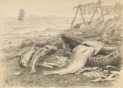 Illustration For The Cormorants Of Utrost 3